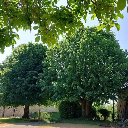 La Maisons Des Tilleuls Thurageau